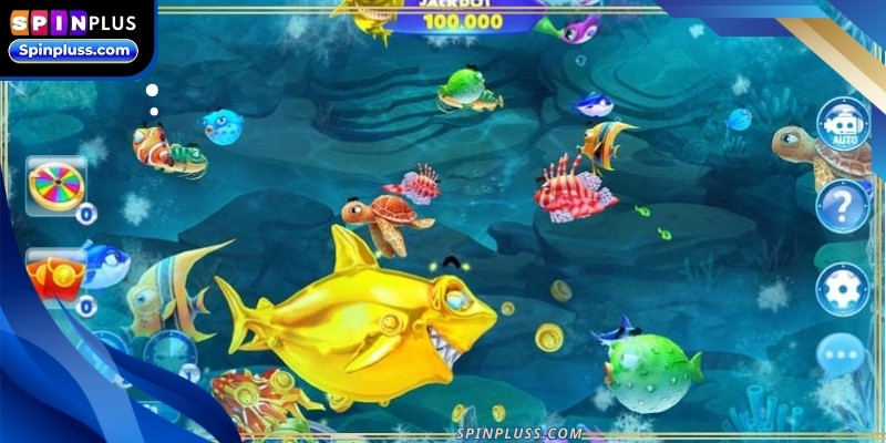 pirates-fishing-ava