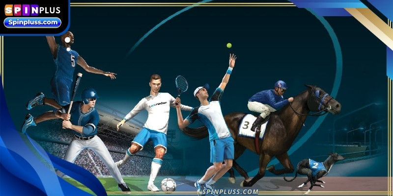 Explore the various styles of competition that cater to different personal